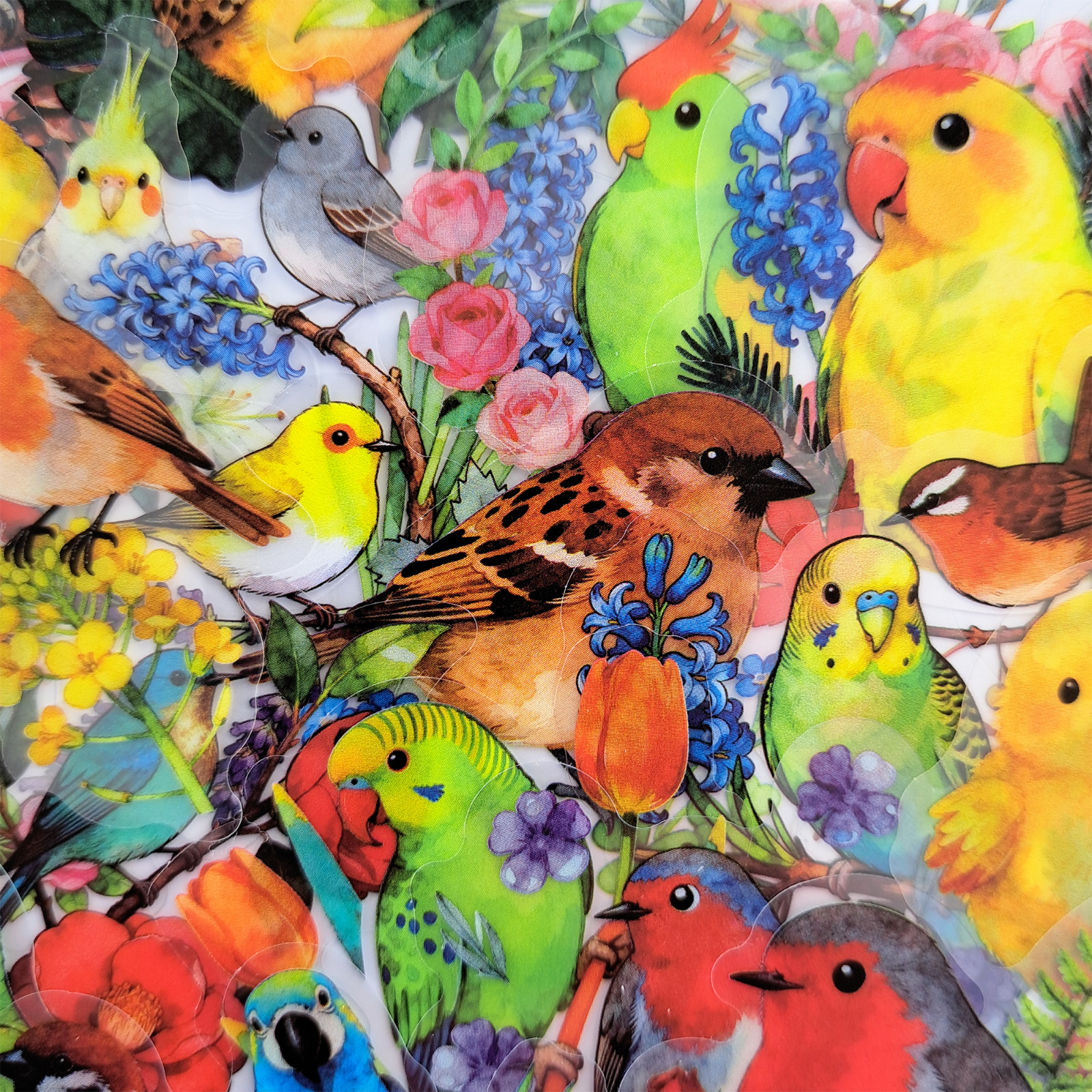 56 PCS Artistic Birds Sticker Pack Transparent Watercolor Floral Ornithology