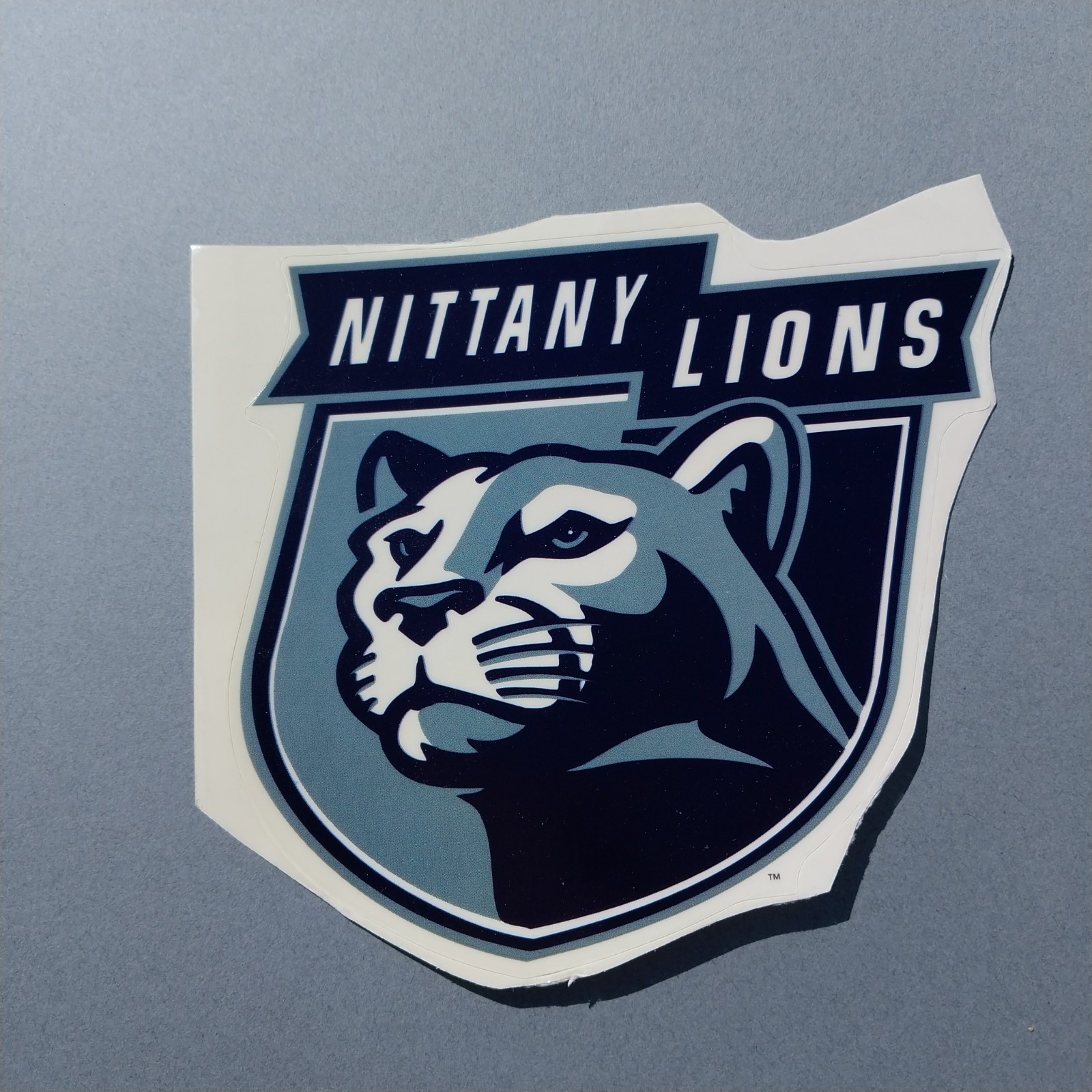 Penn State Nittany Lions Window Cling Sticker 5.5"x5.5"