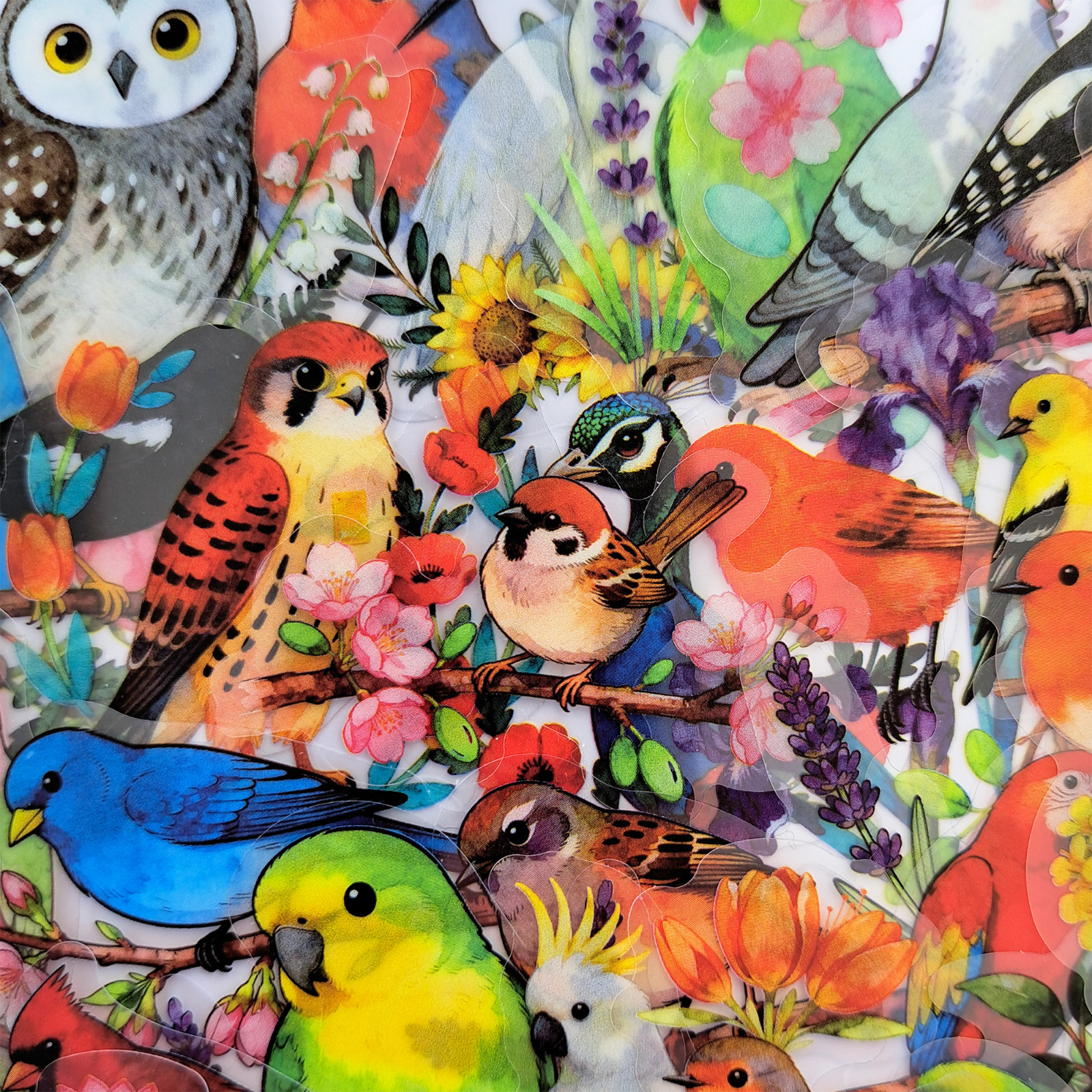56 PCS Artistic Birds Sticker Pack Transparent Watercolor Floral Ornithology
