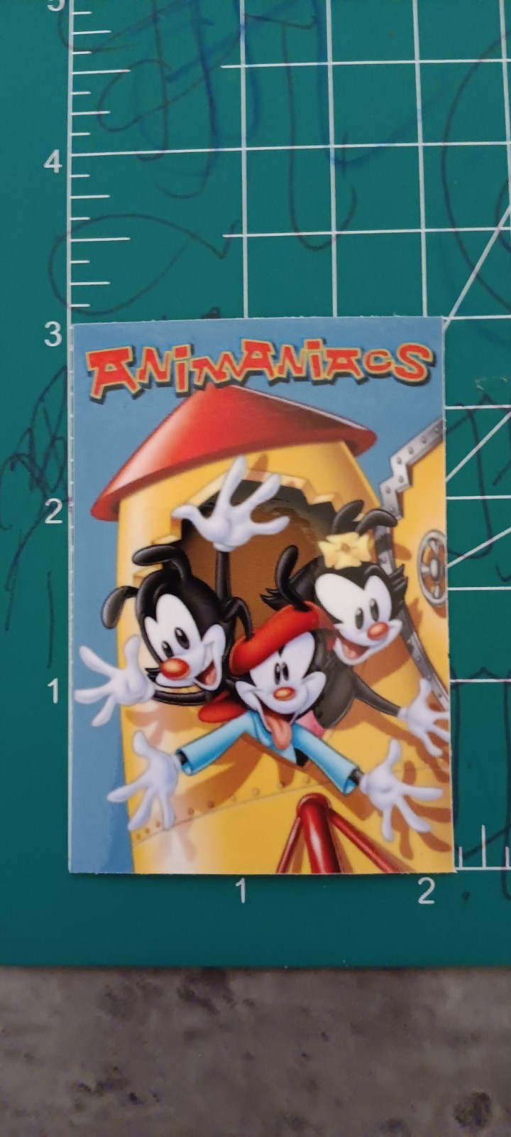 ANIMANIACS VYNIL STICKER 3X2