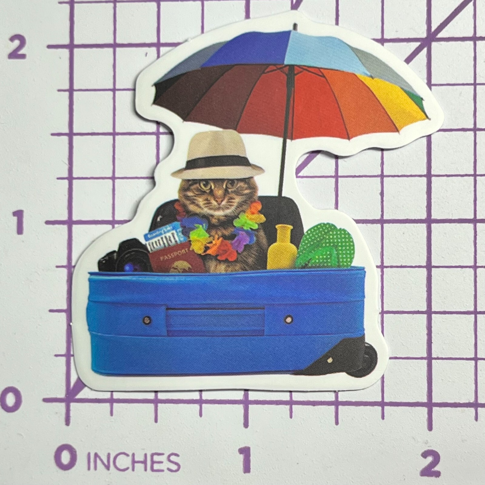 Cat Detective In Beach Cooler – Vinyl Sticker Decal Sticker Bomb Humor Funny Cat
