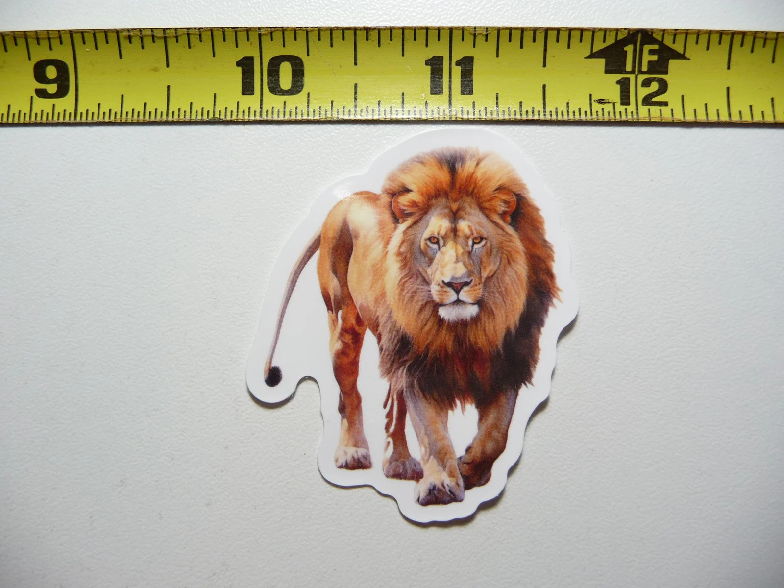LION STARING YOU DOWN CAT SMALL STICKER DECAL WILDLIFE PRESERVE NATURE ANIMAL