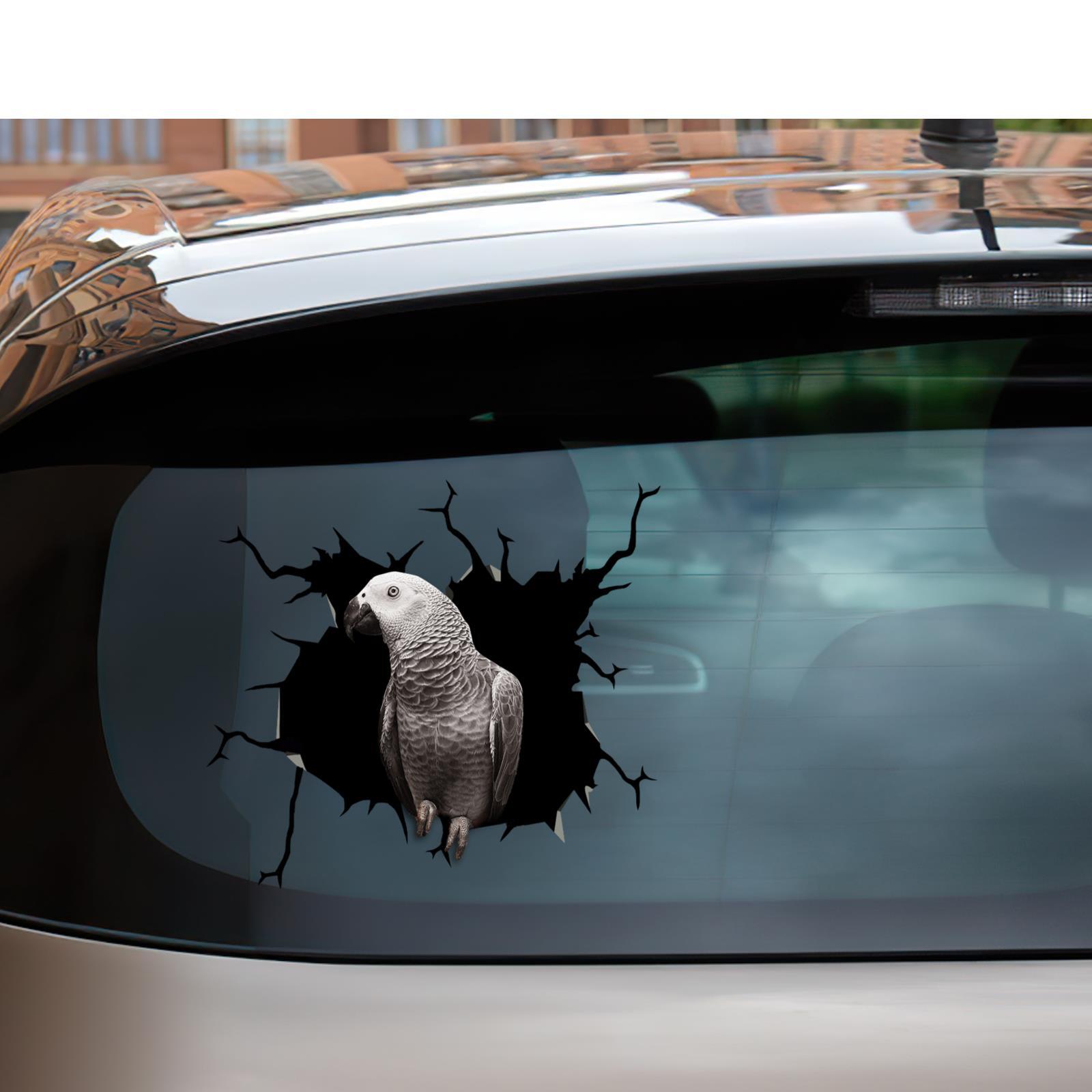 African Grey Parrot Gifts Parrot Wall Stickers Kawaii Vinyl Cars Truck Stickers