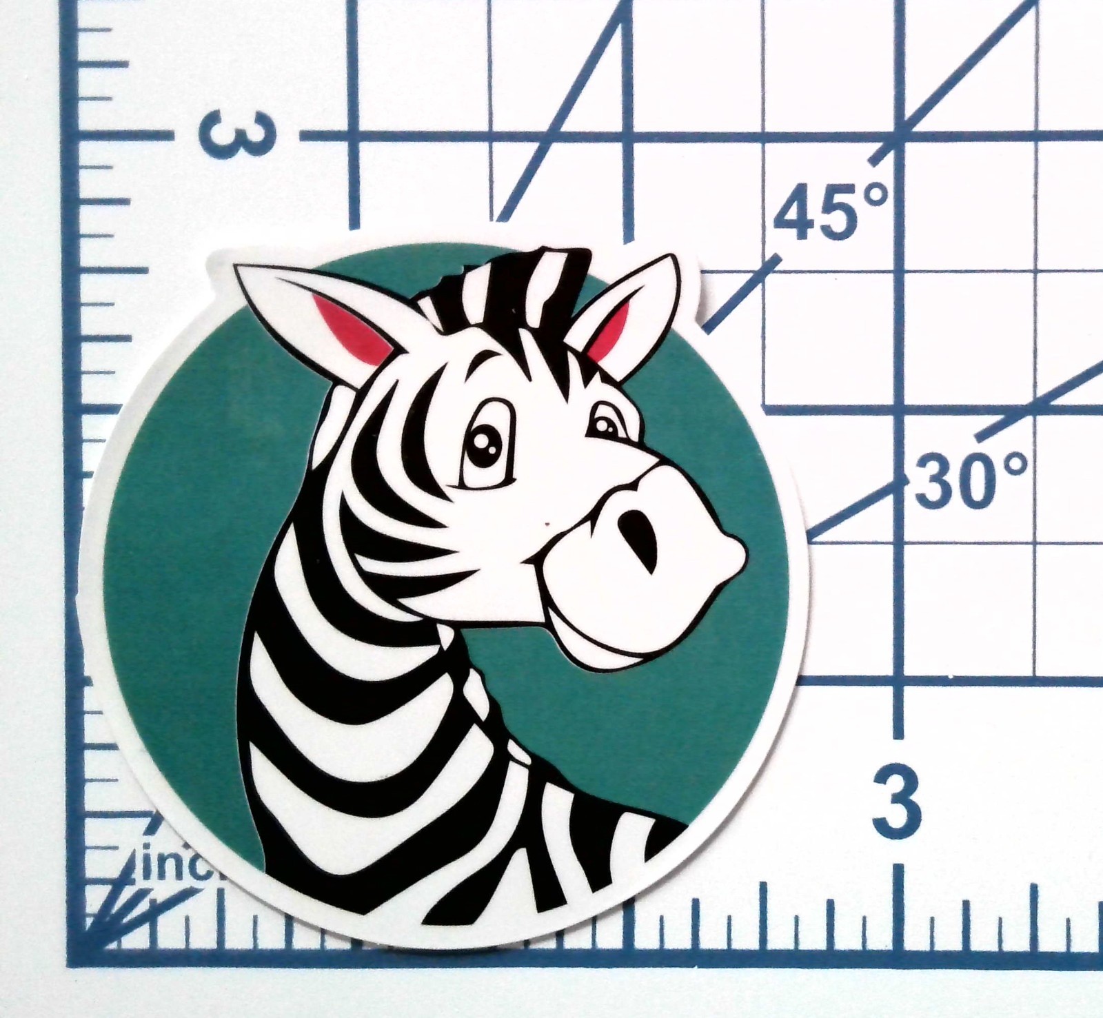 Cute Zebra Vinyl Sticker Cartoon Animal Art Teal Circle Background Decal