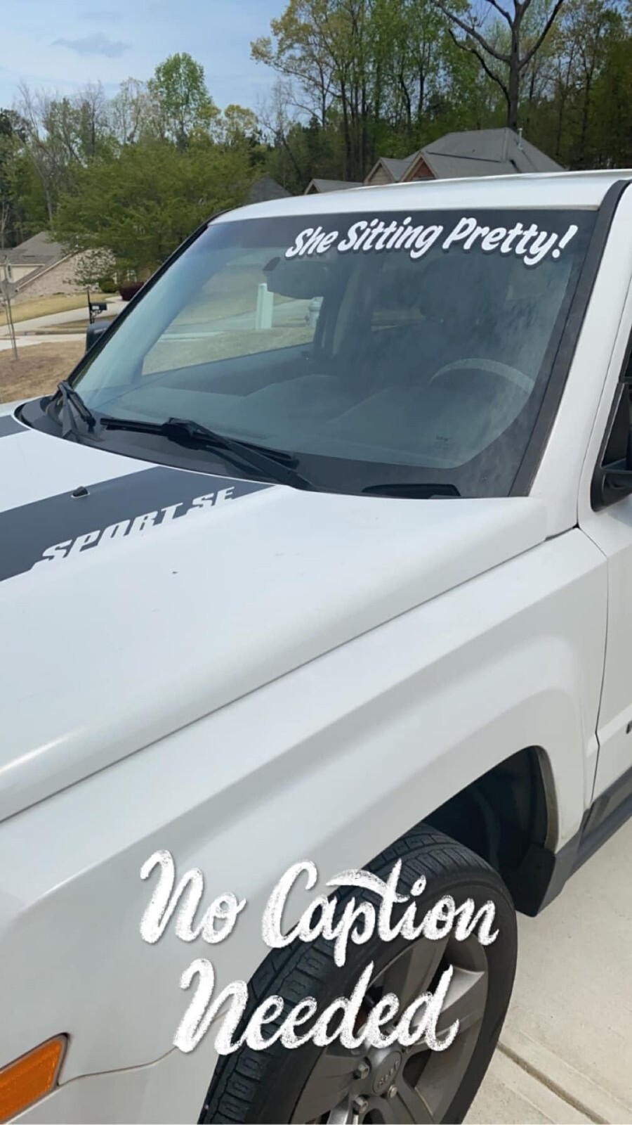 Custom Windshield Decal, Personalized Automotive Vinyl text graphic CTDC