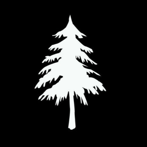 Pine Tree Decal Buy 1 Get 1 Free Winter Stickers