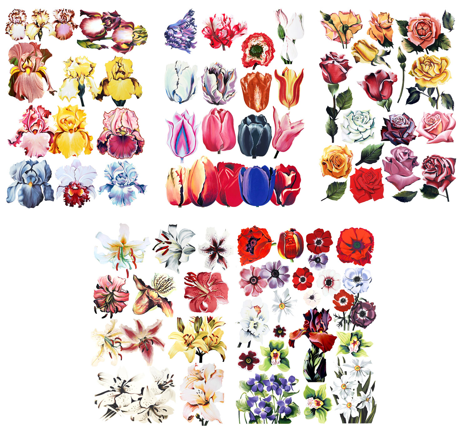 Vinyl Wall Stickers/VINTAGE BEAUTIFUL FLOWER MIX/Waterproof, Outdoor, Wall-Safe