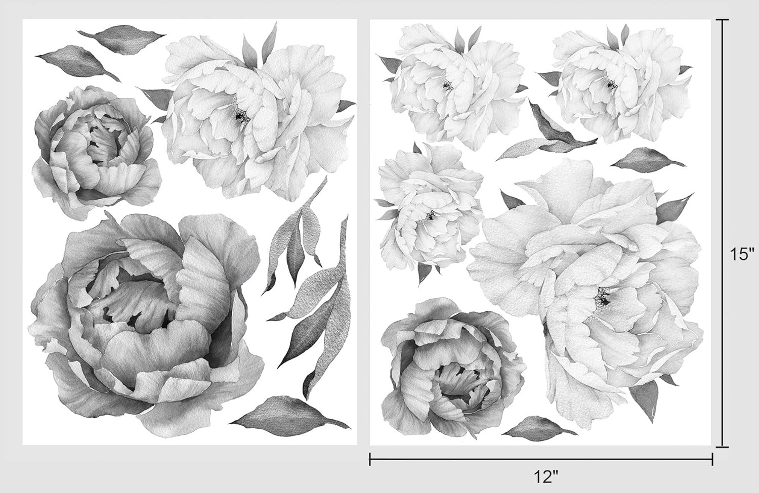 Peony Watercolor Wall Decals (Black and White Watercolor) – Flowers Decals for W