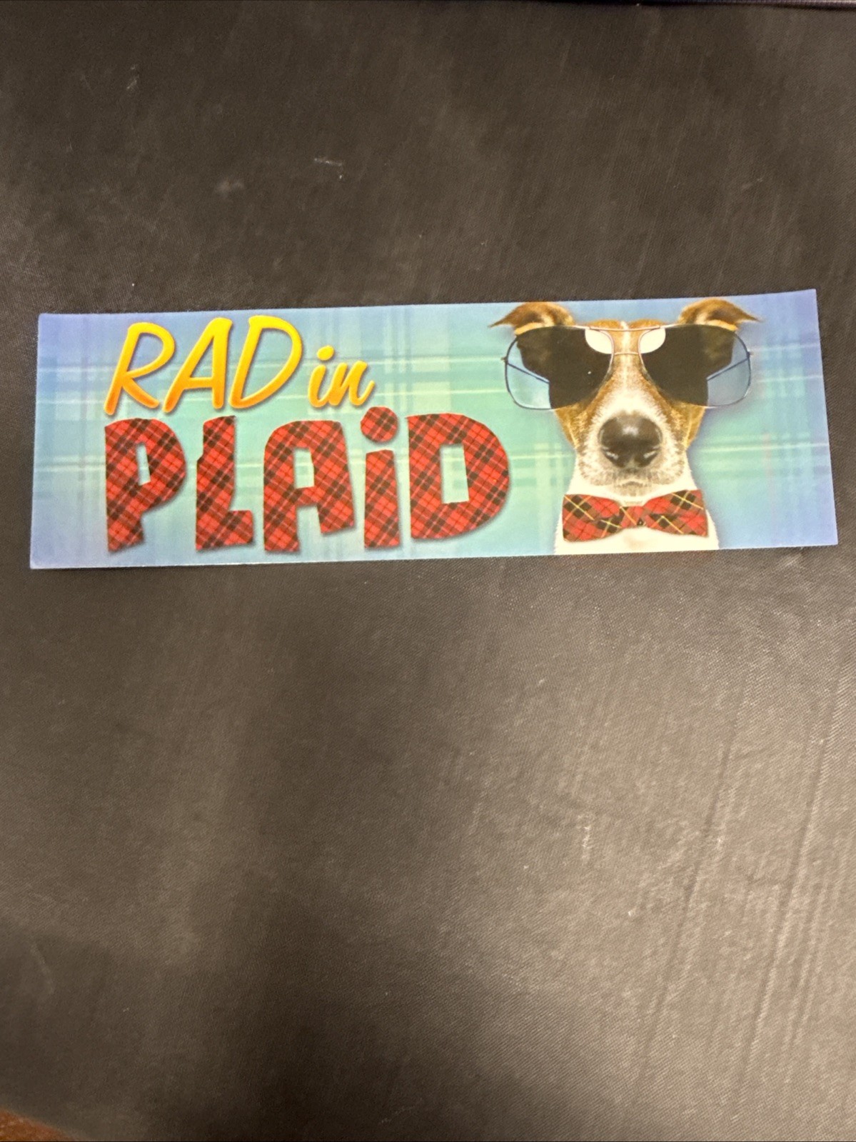 2000s Y2K Scholastic Book Fair Deep Ink Sticker Bookmark Rad In Plaid