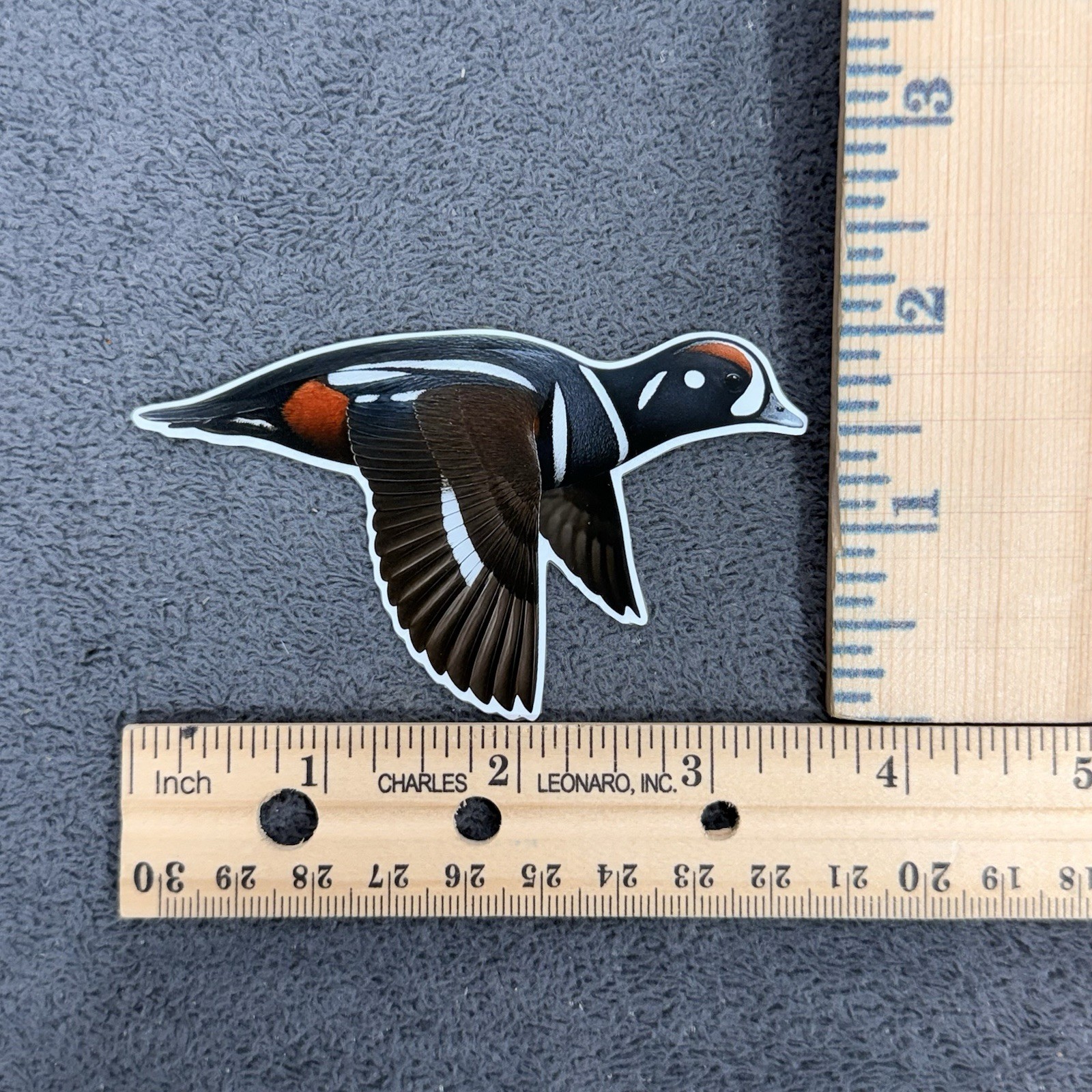 Harlequin Duck Decoy Sticker Vinyl Hunting Stamp Logo Sea Duck Shotgun Bird Fly