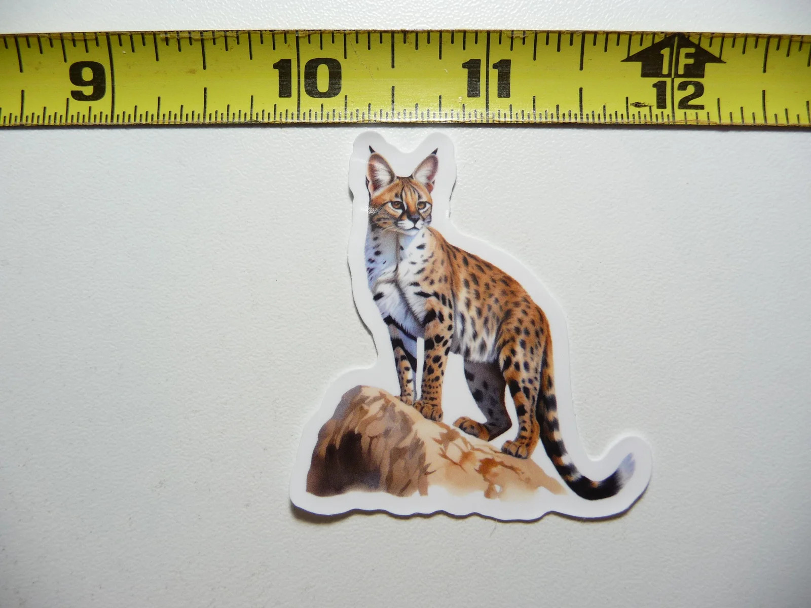 WILD SERVAL CAT SMALL STICKER DECAL WILDLIFE PRESERVE NATURE ANIMAL