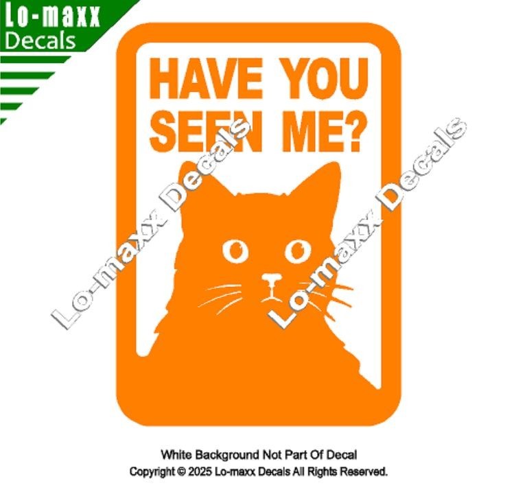 Have You Seen Me Lost Cat Sticker Art Funny Vinyl Decal For Laptop Door Locker