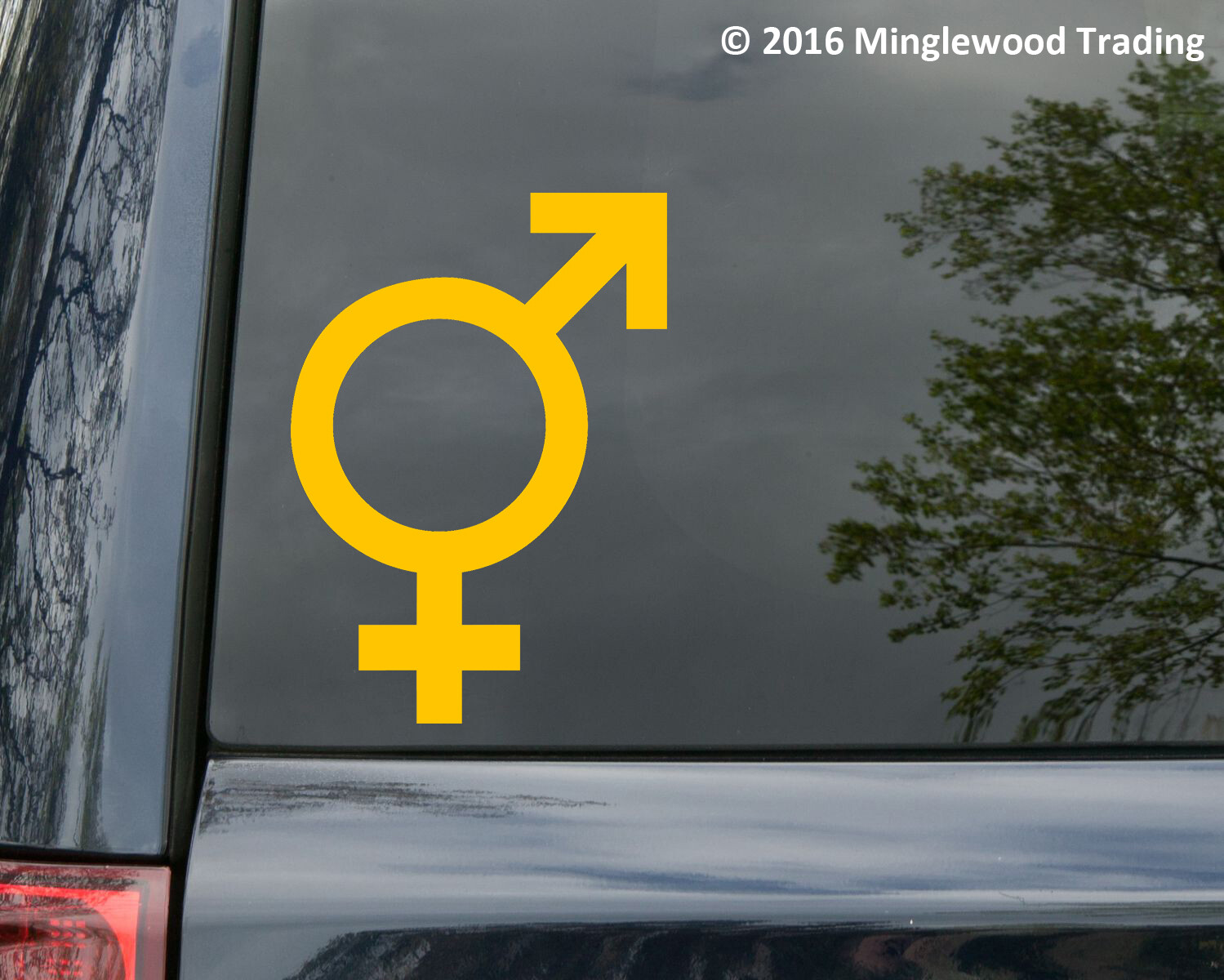 INTERSEX GENDER SYMBOL Vinyl Sticker Sign Hermaphrodite Androgyny Die Cut Decal