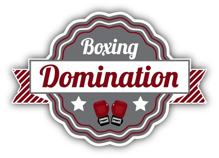 Boxing Domination Sport Label Car Bumper Sticker Decal