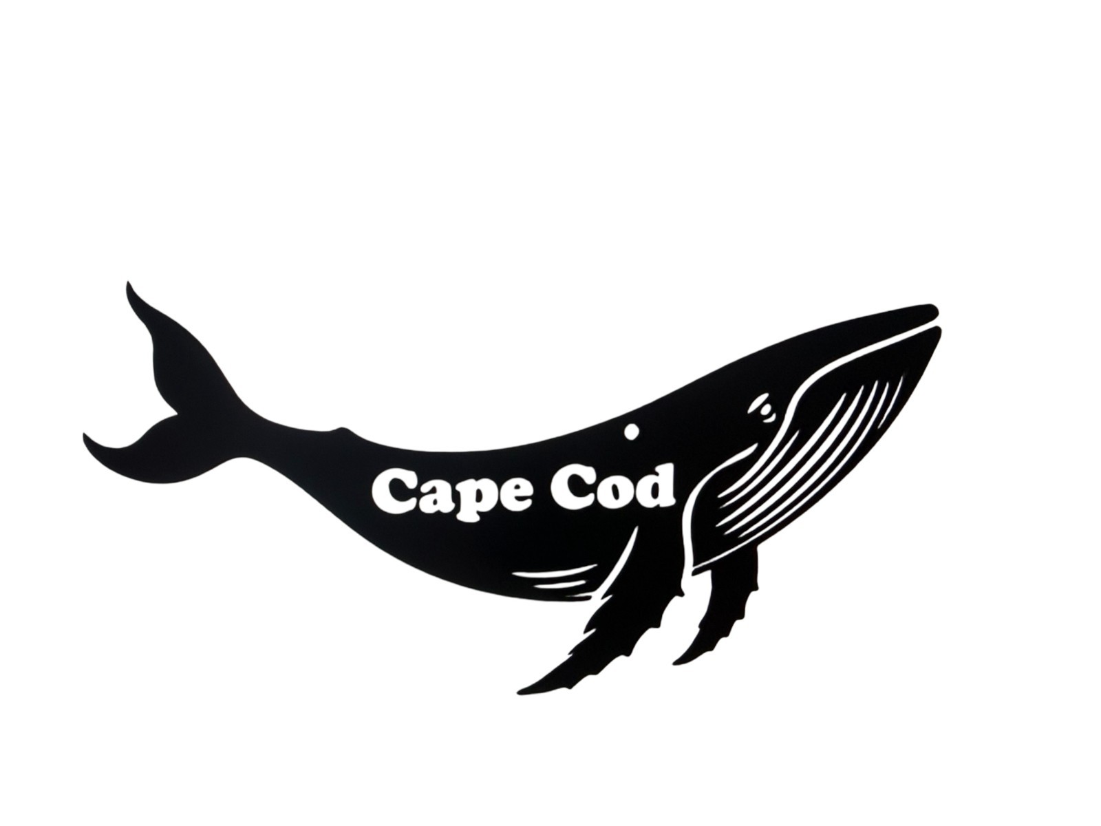 Humpback Whale Cape Cod Decal for car Windows Laptops Smooth Surfaces