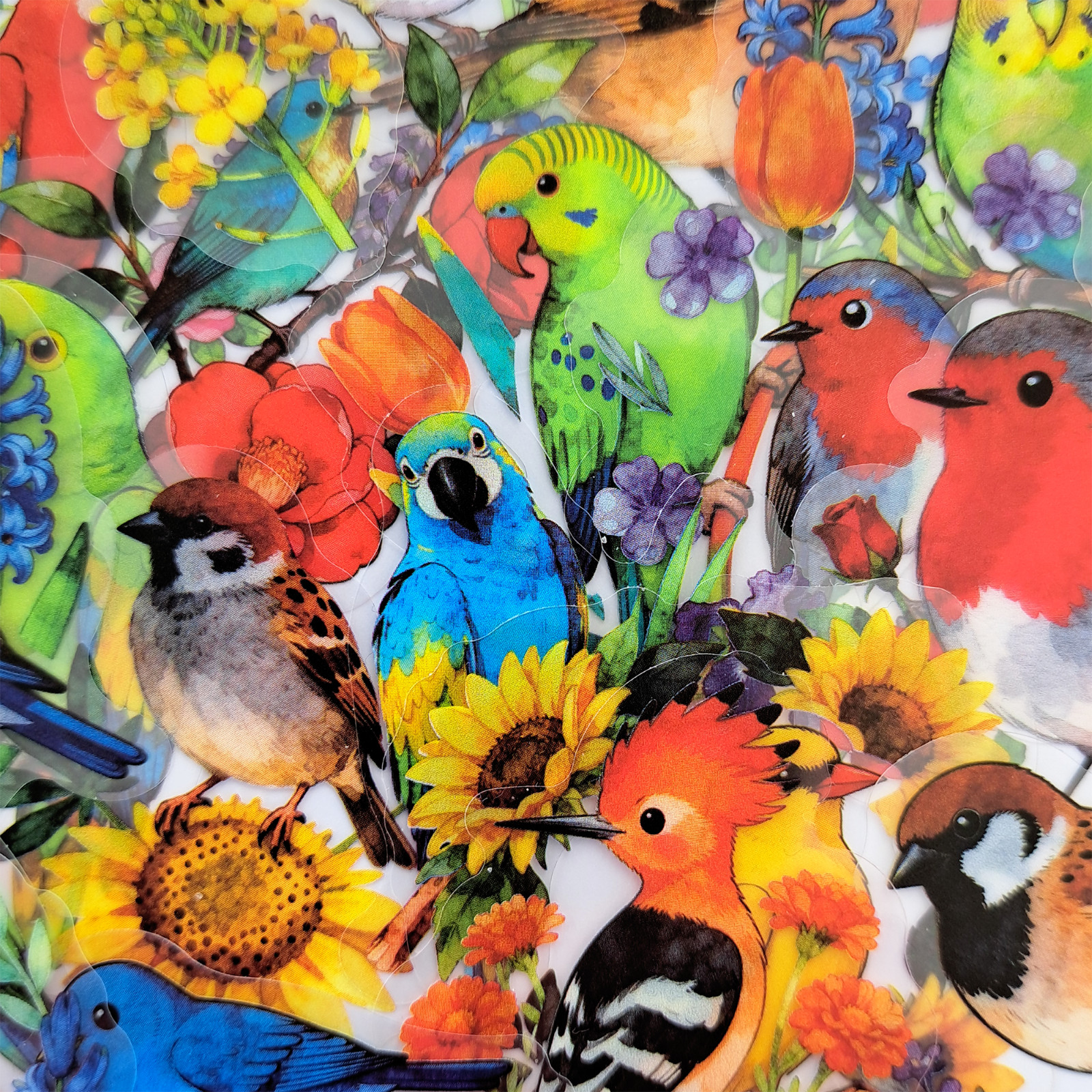 56 PCS Artistic Birds Sticker Pack Transparent Watercolor Floral Ornithology