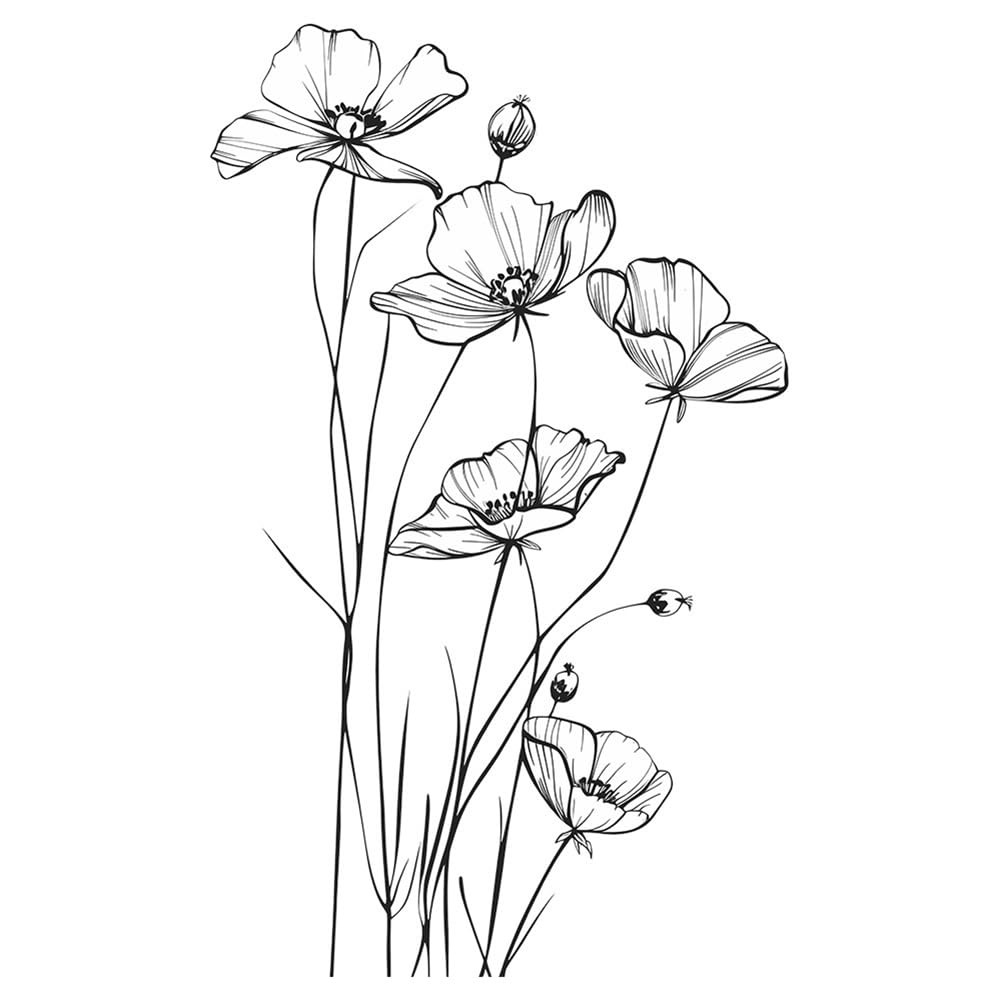 Black and White Poppy Flower Wall Decal Minimalist Sketch Botanical Wall Art …