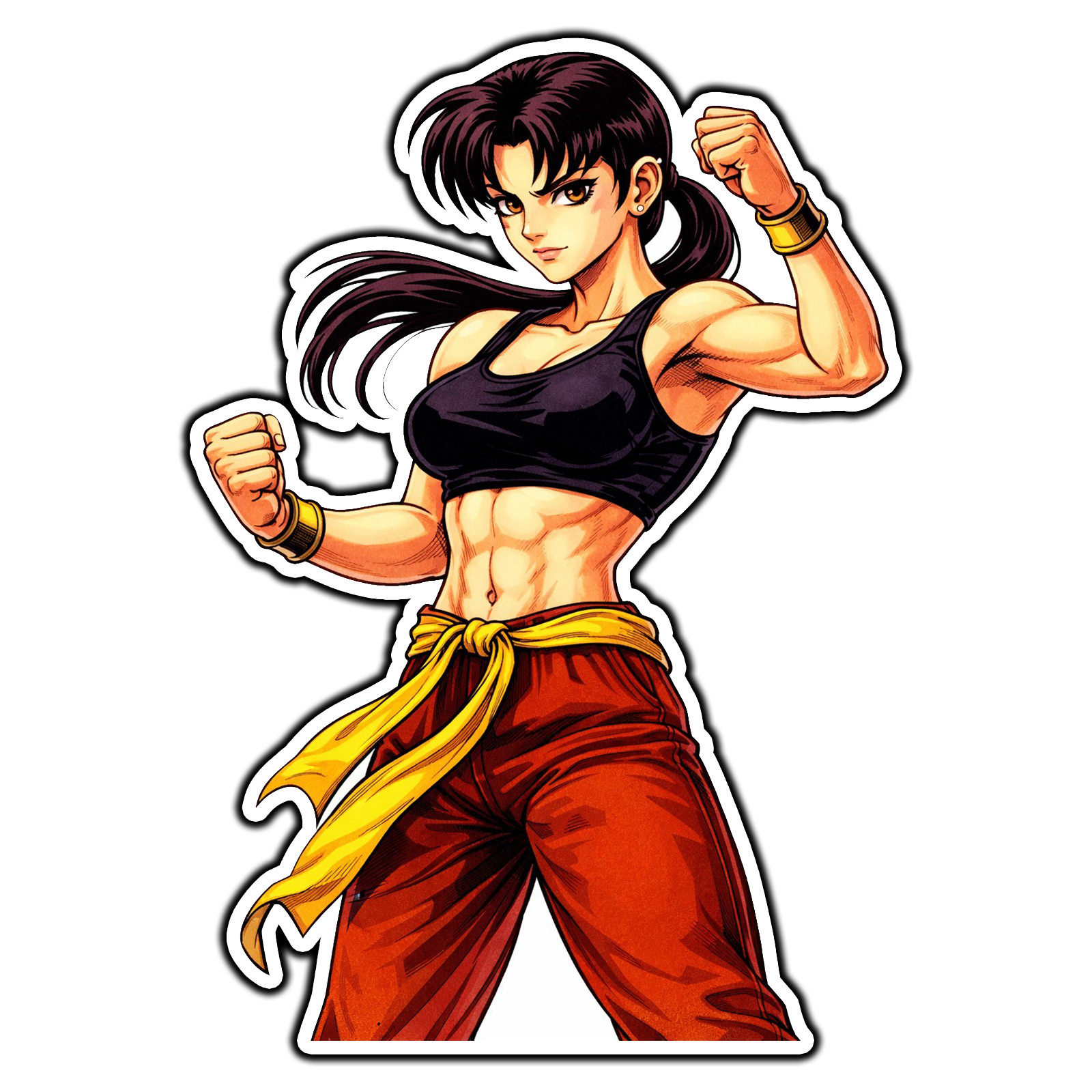 Female Fei Long #1 Street Fighter Retro Sticker Waterproof Vinyl Decal Die-Cut