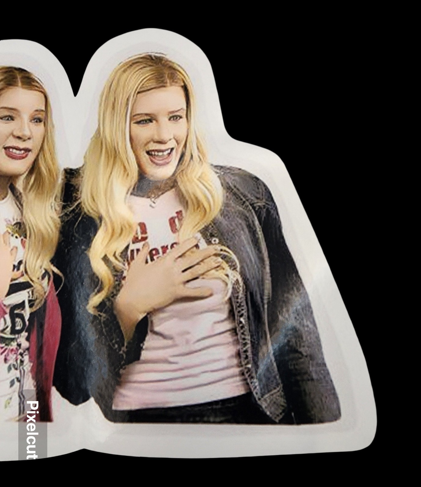 White Chicks Inspired Waterproof Car Decal Wall Poster Vinyl Sticker Large