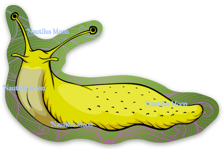 Banana Slug Silly Fun Sticker Die-Cut 1.95 x 3" – Free Shipping