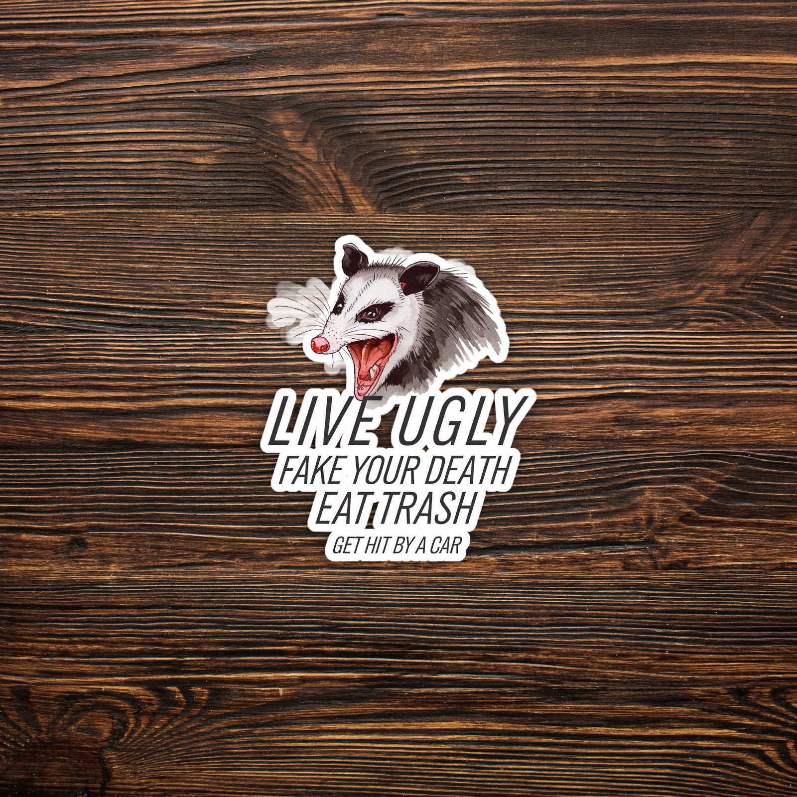 Live Ugly Fake Your Death Eat Trash Possum Funny Sticker Decal #209