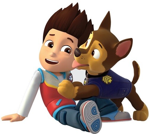 53 STYLES Paw Patrol Logo Wall Decal Sticker Girl Pups Decor Art Skye Everest US