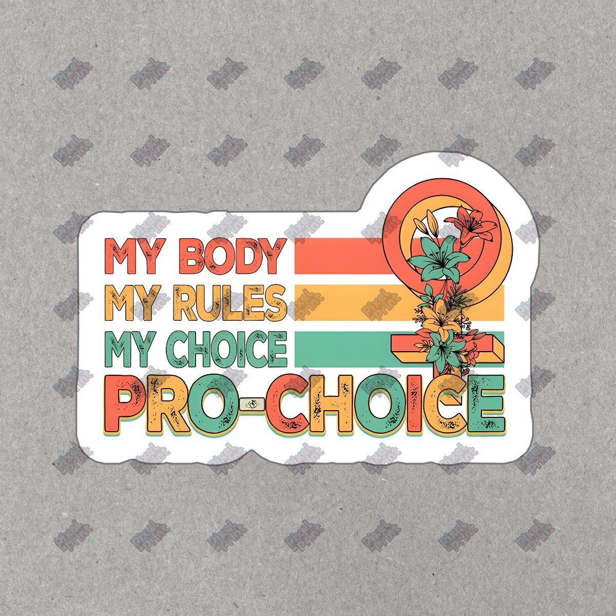 Pro Choice Vinyl Sticker My Body My Rules Decal Feminist Affirmation #716506