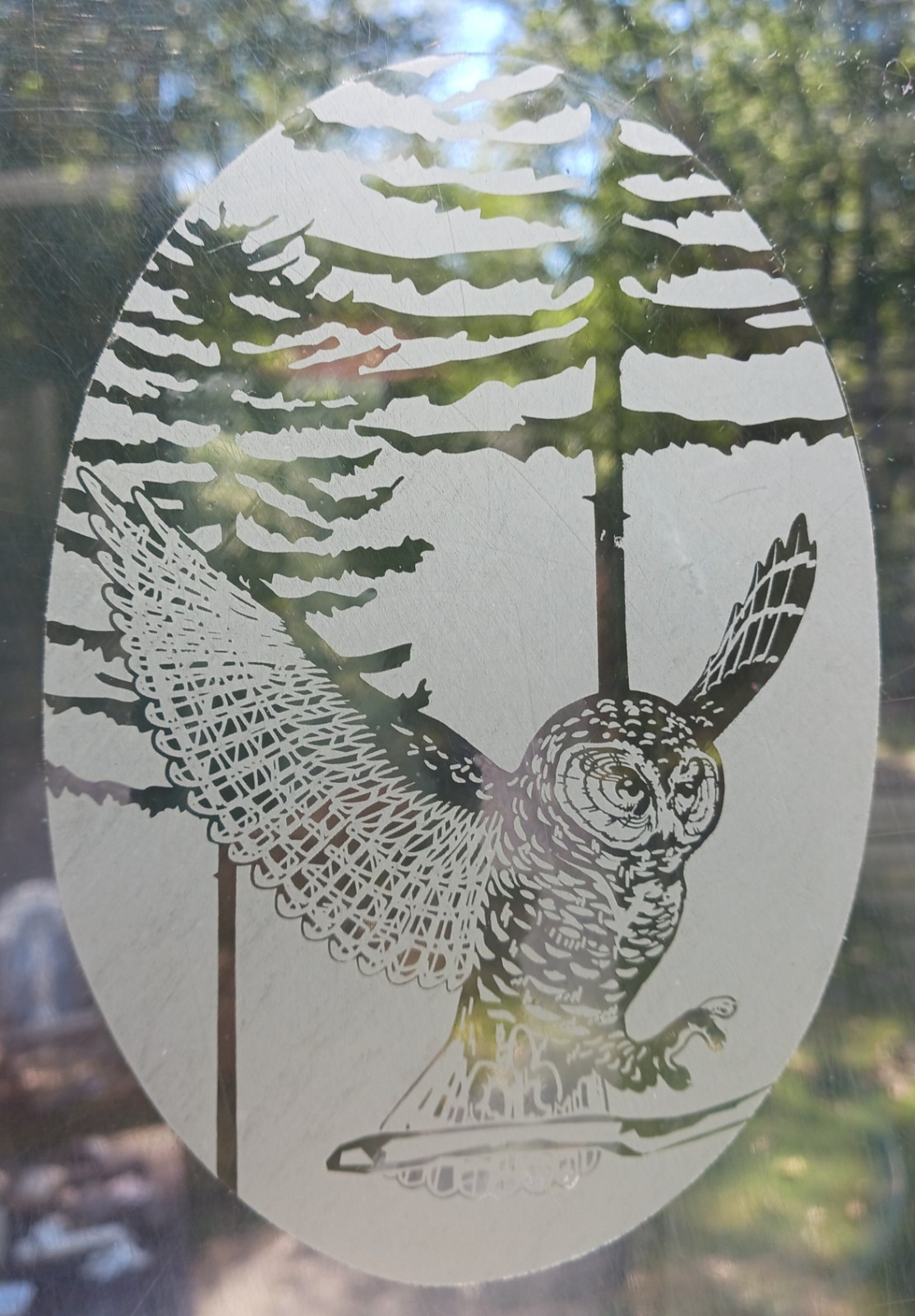 Owl Window Decal 4"x6" OVAL Etched Glass Look Cling Removable & Reusable 32
