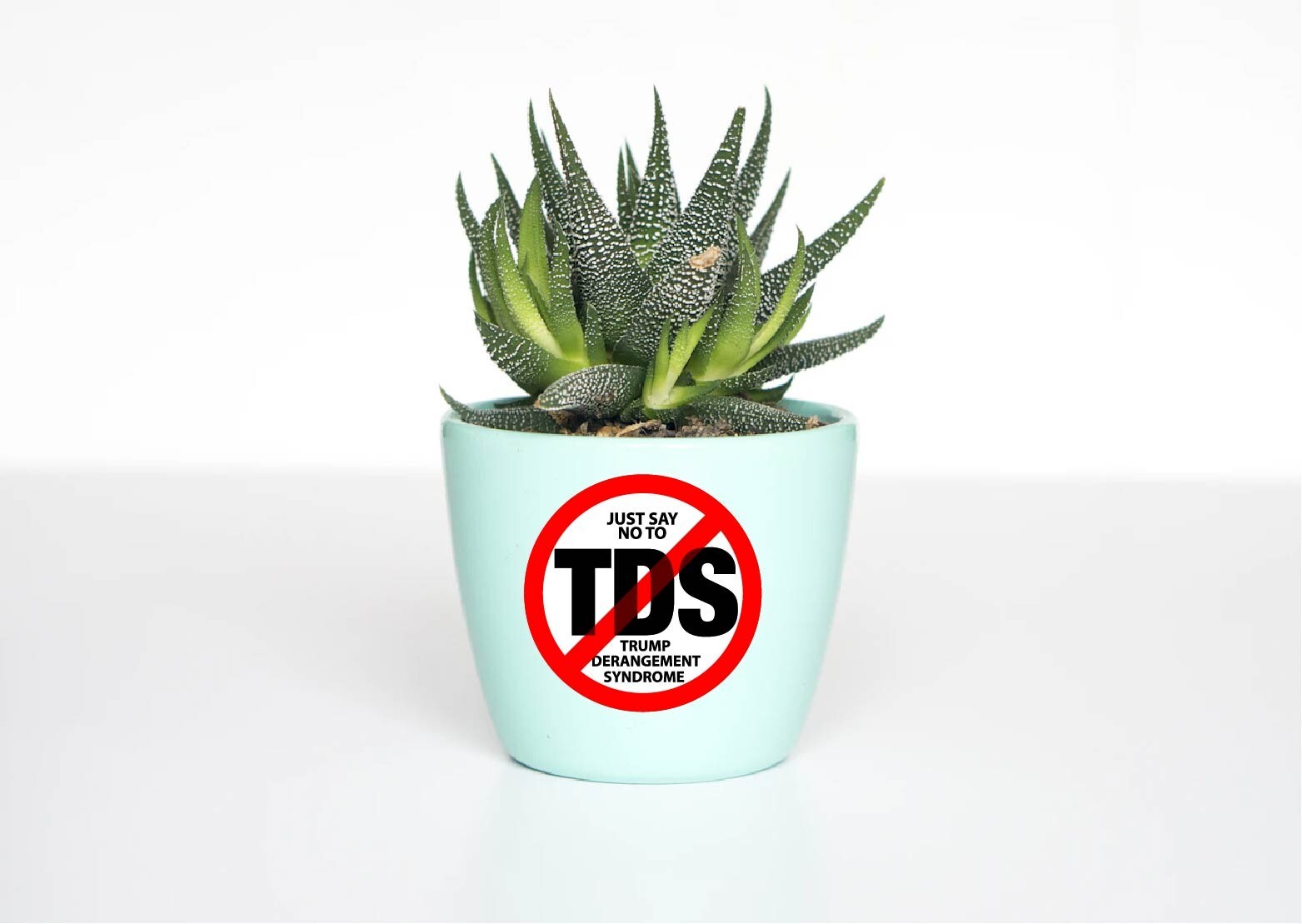 Say No to TDS Decal Sticker Trump Derangement Syndrome Anti MAGA Pro Political