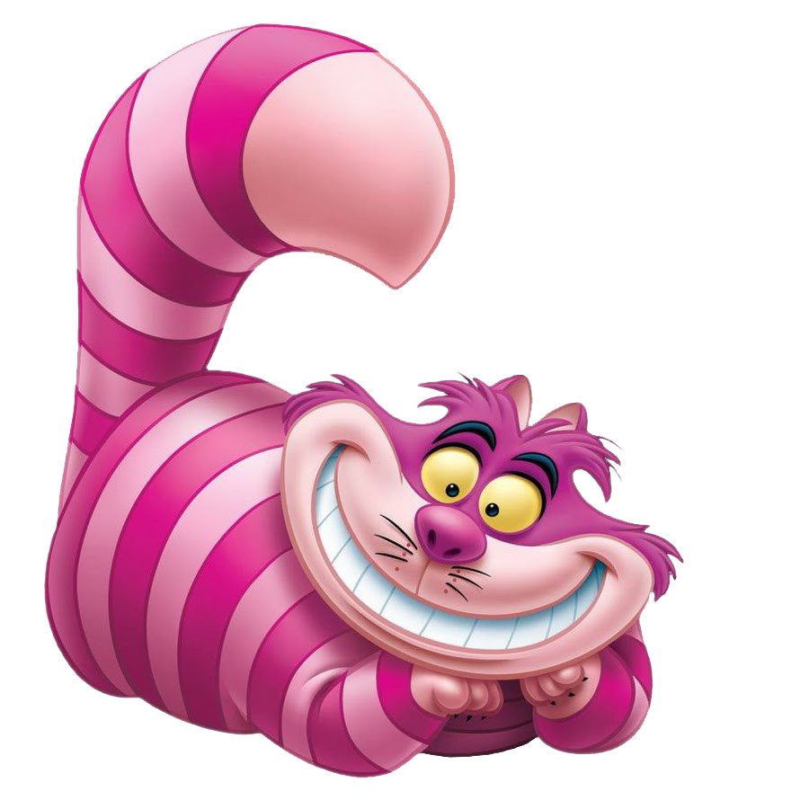 Cheshire cat sticker alice in wonderland weatherproof bumper vinyl decal