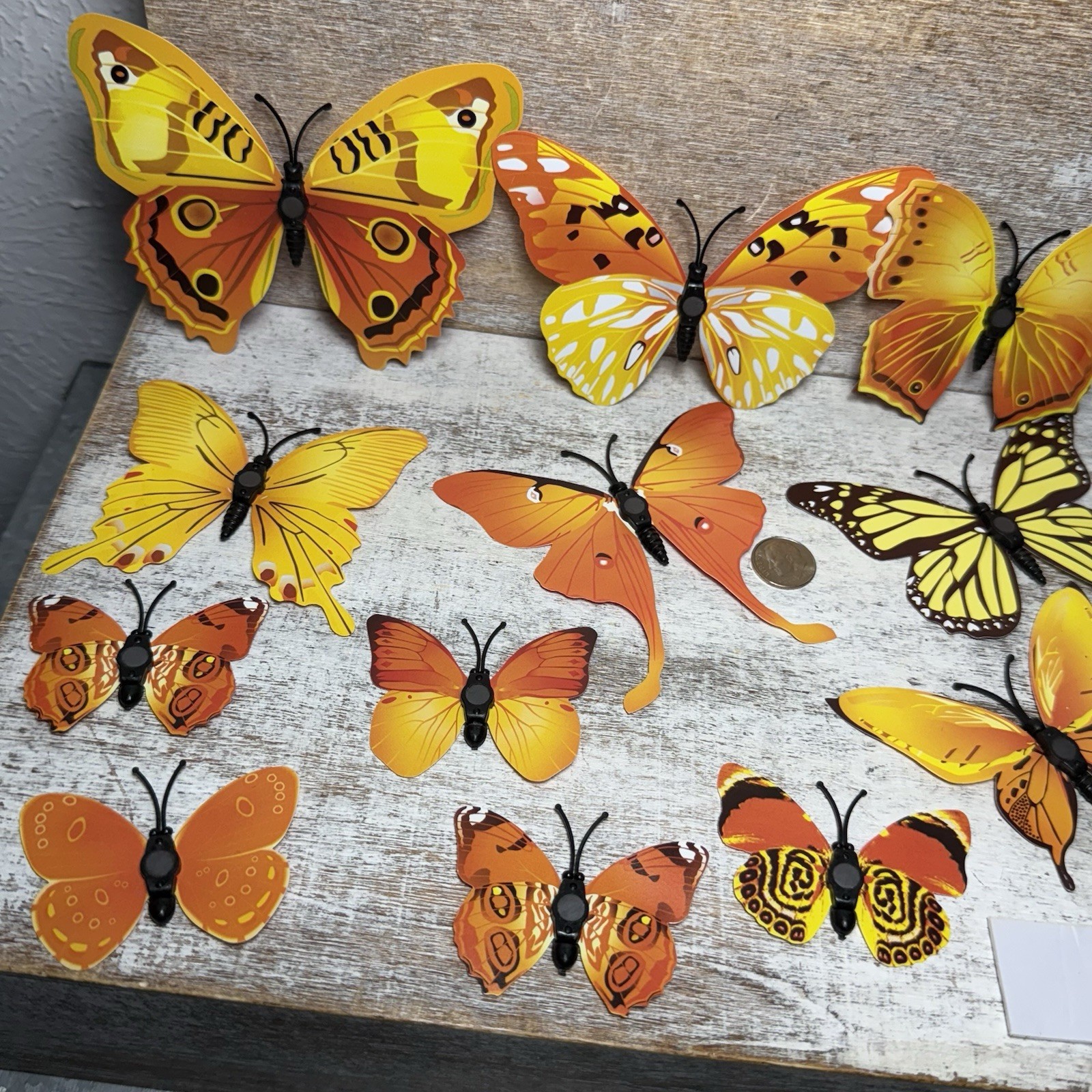 Lot of 12 3D Realistic Butterfly Wall Stickers Different Size, Shapes ORANGE New
