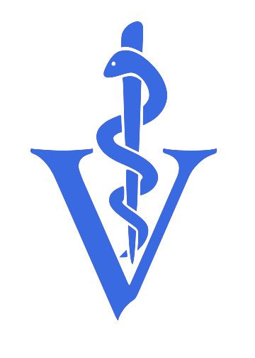 VETERINARY Doctor DVM tech medical decal sticker (2 Decals)