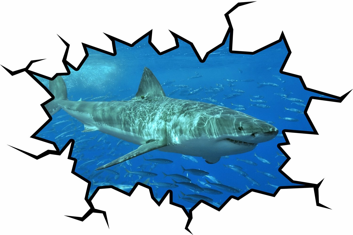 Peel and Stick Shark Wall Crack Vinyl Wall Decal VWAQ – WC17