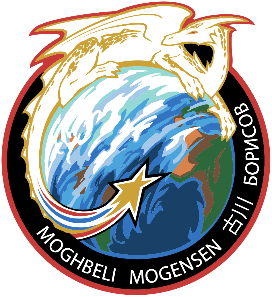 NASA SpaceX Crew-7 Mission Patch Sticker Decal NASA Commercial Crew Flight