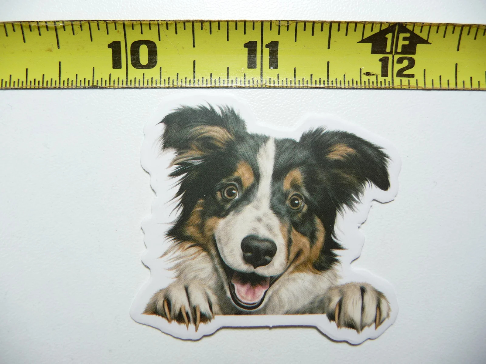 PEEKING BORDER COLLIE SMALL STICKER DECAL PUPPY DOG PET LOVE PEEK A BOO