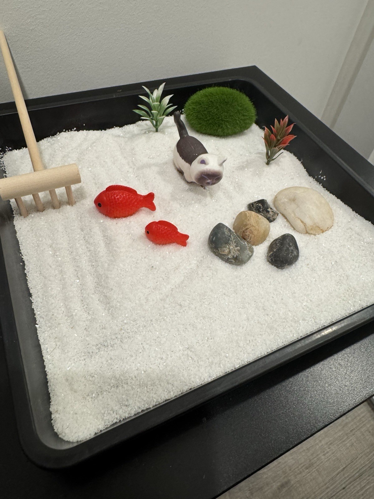 Cat Koi Fish Zen Garden 7 Inch by 7 Inch – with Random Cat Style Design New Gift