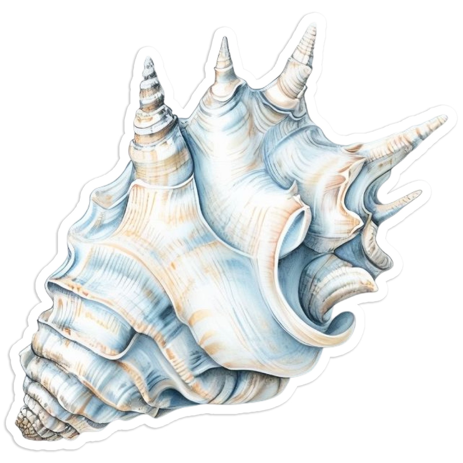 Conch Shell Seashell – Vinyl Decal Sticker – Car Window Laptop – #1662