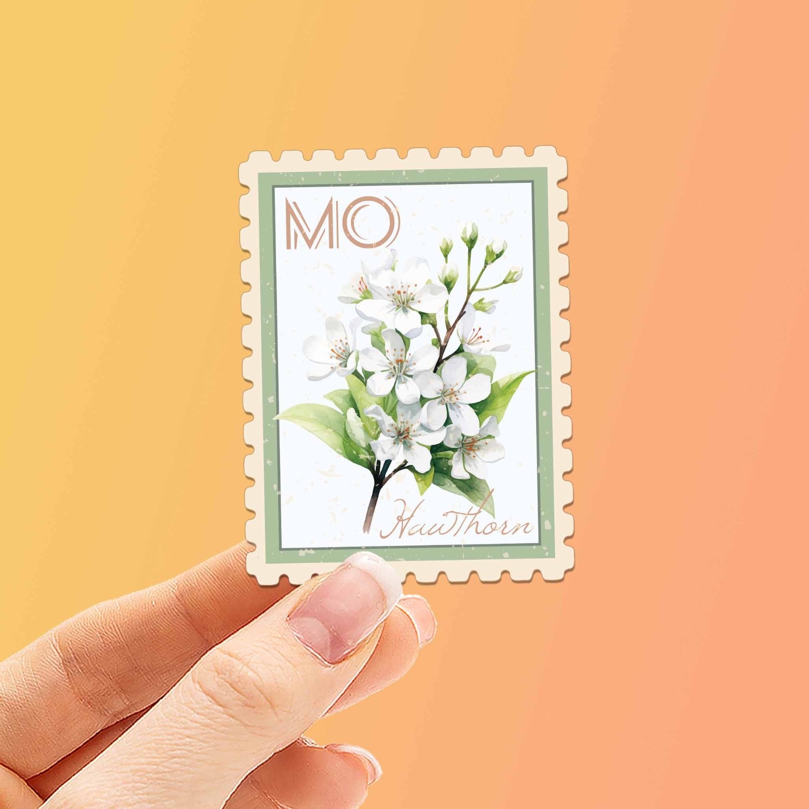 Missouri State Flower Hawthorn Sticker – MO Vintage Stamp Decal for Laptop
