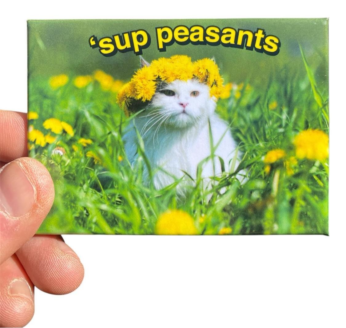 'SUP PEASANTS Funny Cat Kitchen Fridge Car Home Magnet – 3.5" x 2.5" Made in USA