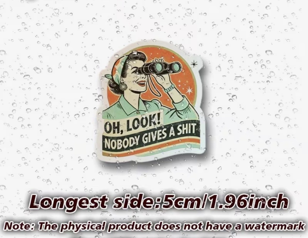 Retro VTG GenX ‘Oh Look Nobody Gives A $h*t’ 2” Inch Vinyl Sticker Decal Funny