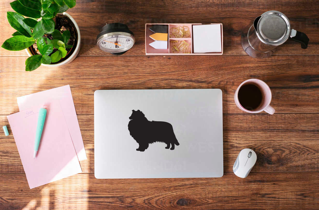 Custom Collie Silhouette Vinyl Decal – Personalized Pet Sticker – 9036