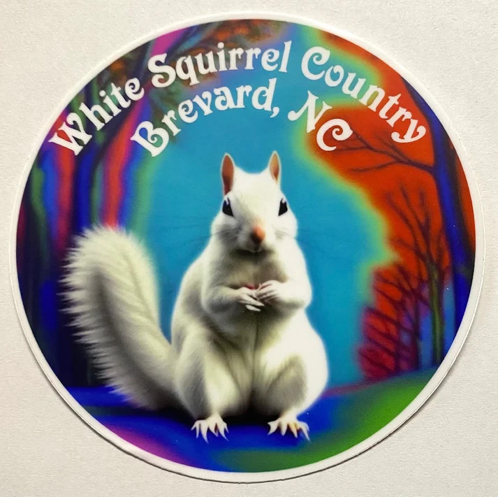 Decal/Sticker – White Squirrel Country, Brevard, NC – 4" Circle – Psychedelic