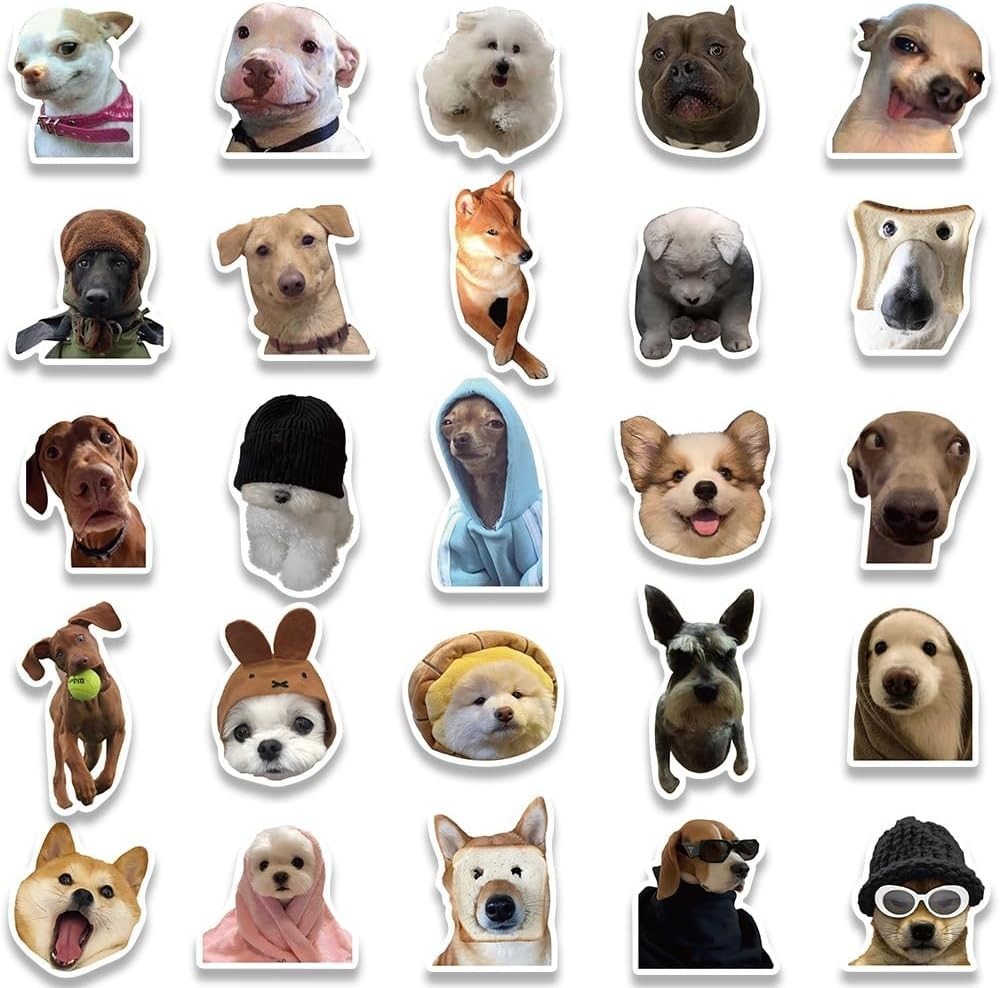 100PCS Funny Dog & Cat Meme Stickers Cute Cat & Dog Stickers Adults Teens