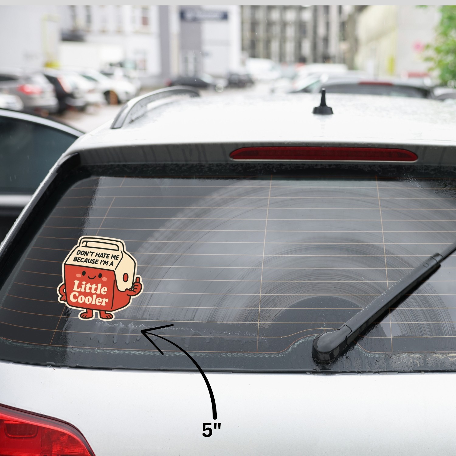 4PCS Don’t Hate Me Because I’m a Little Cooler Stickers – Funny Pun Quote Decals
