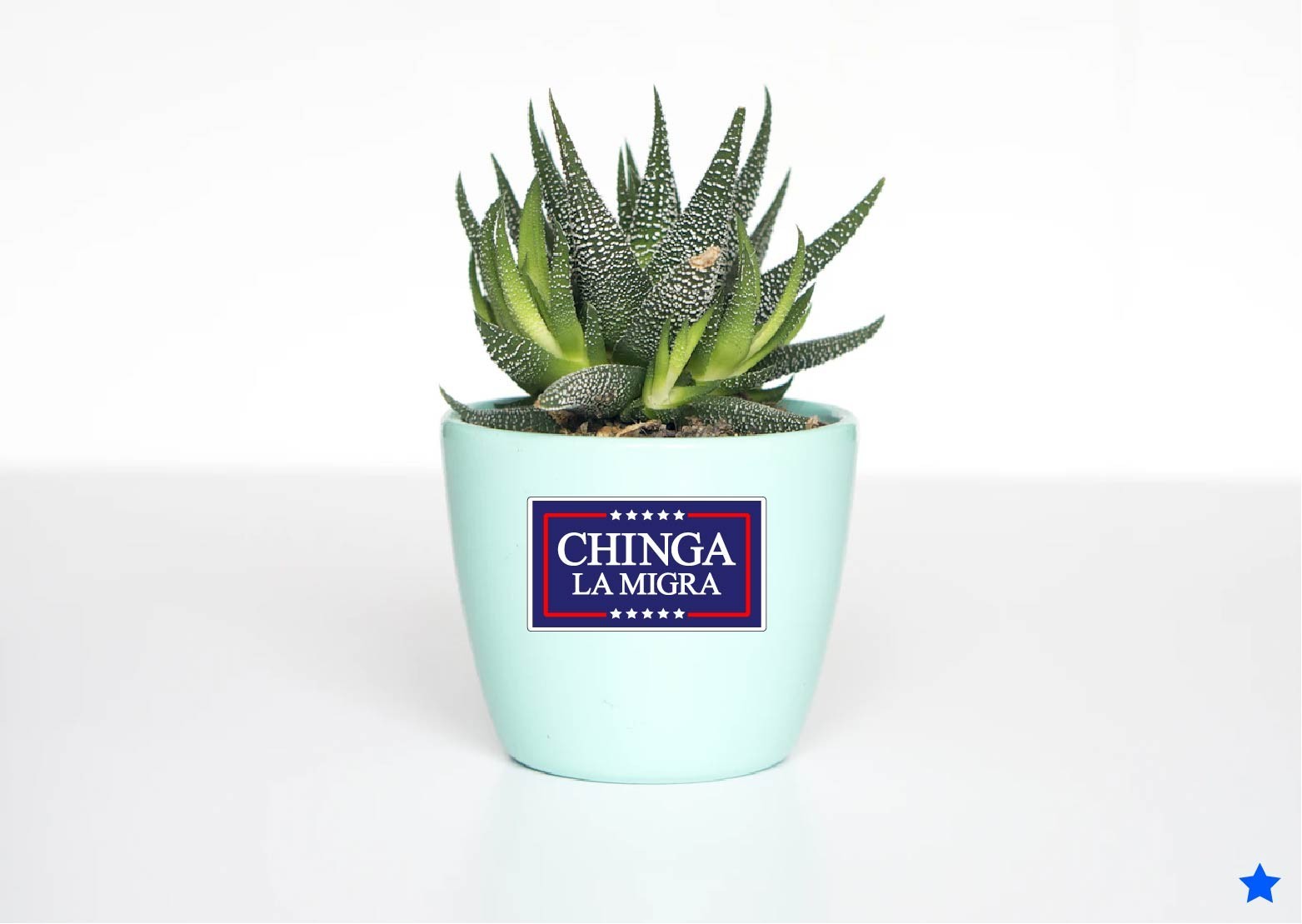 Chinga La Migra Decal Sticker Anti Ice Spanish Mexico No Kings F*** Trump MAGA
