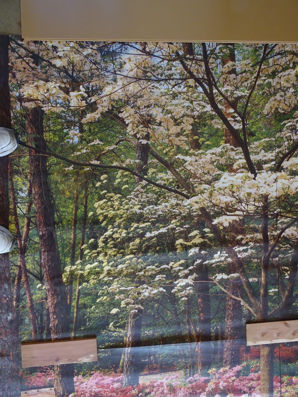 Full Wall Photo Mural Azaleas & Dogwoods Trees Railroad Track 8’ 8” x 12’ 6” NOS