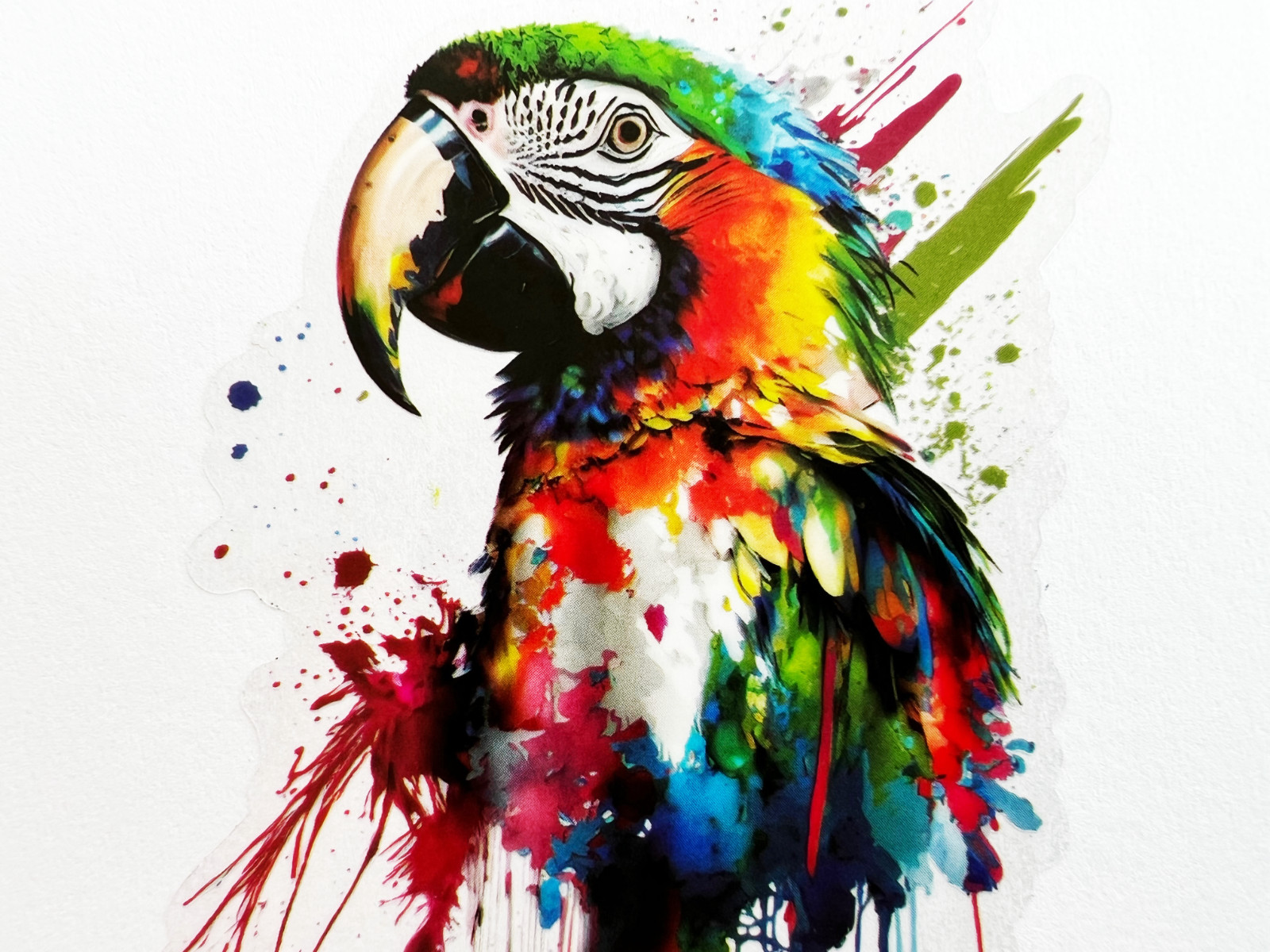Colorful Macaw Parrot 3 Inch Transparent Sticker Jungle Nature Wildlife Decal