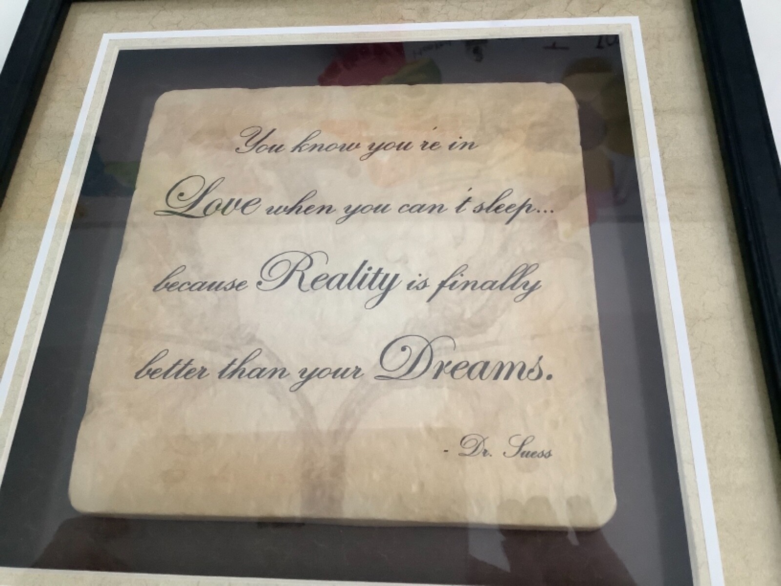 Dr Seuss Quote”You Know you’re in LOVE,wall plaque,Framed,Matted Collectible