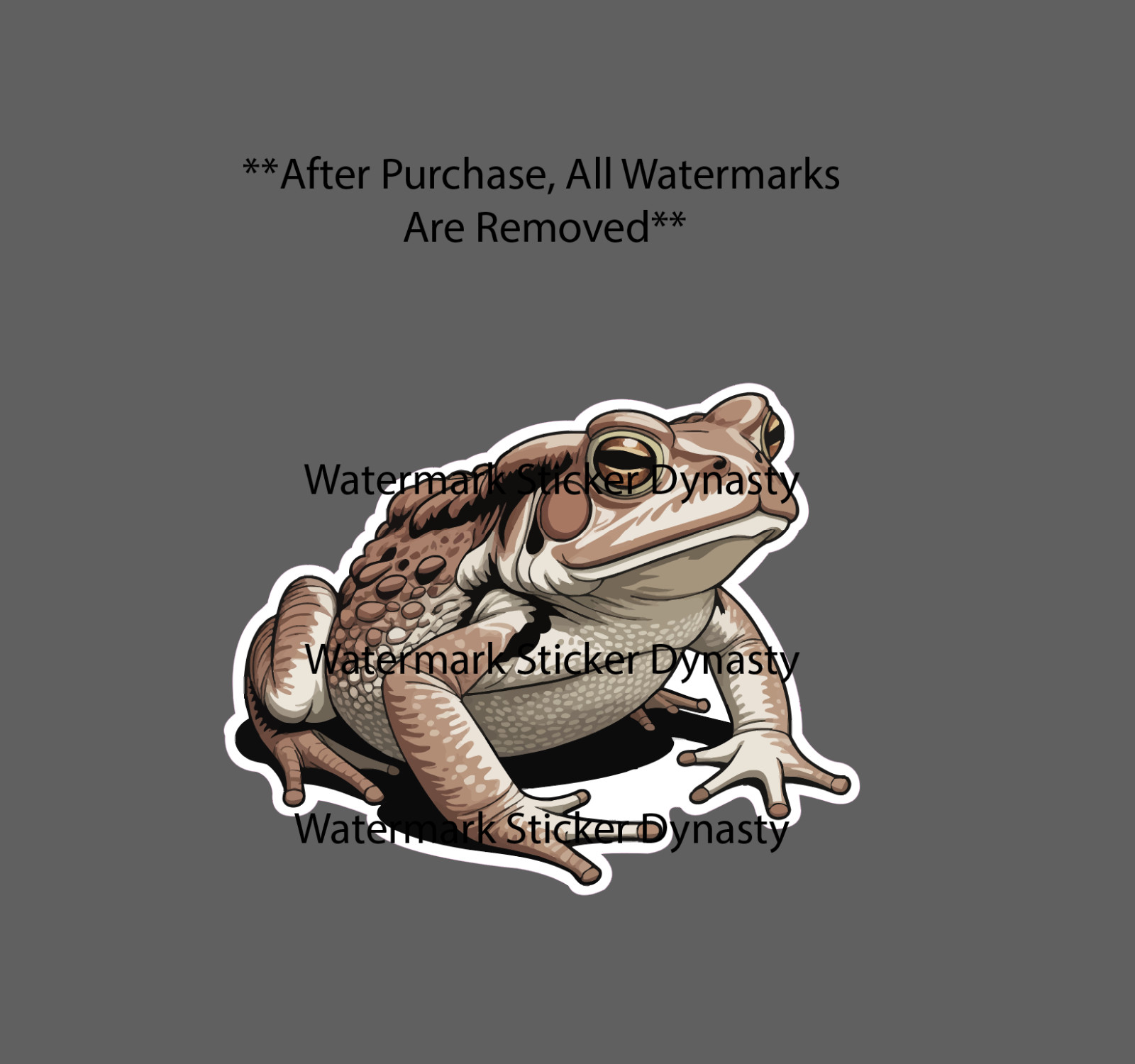 Toad Sticker Waterproof Decal Animal Wild Wildlife Frog Reptile Gift NEW