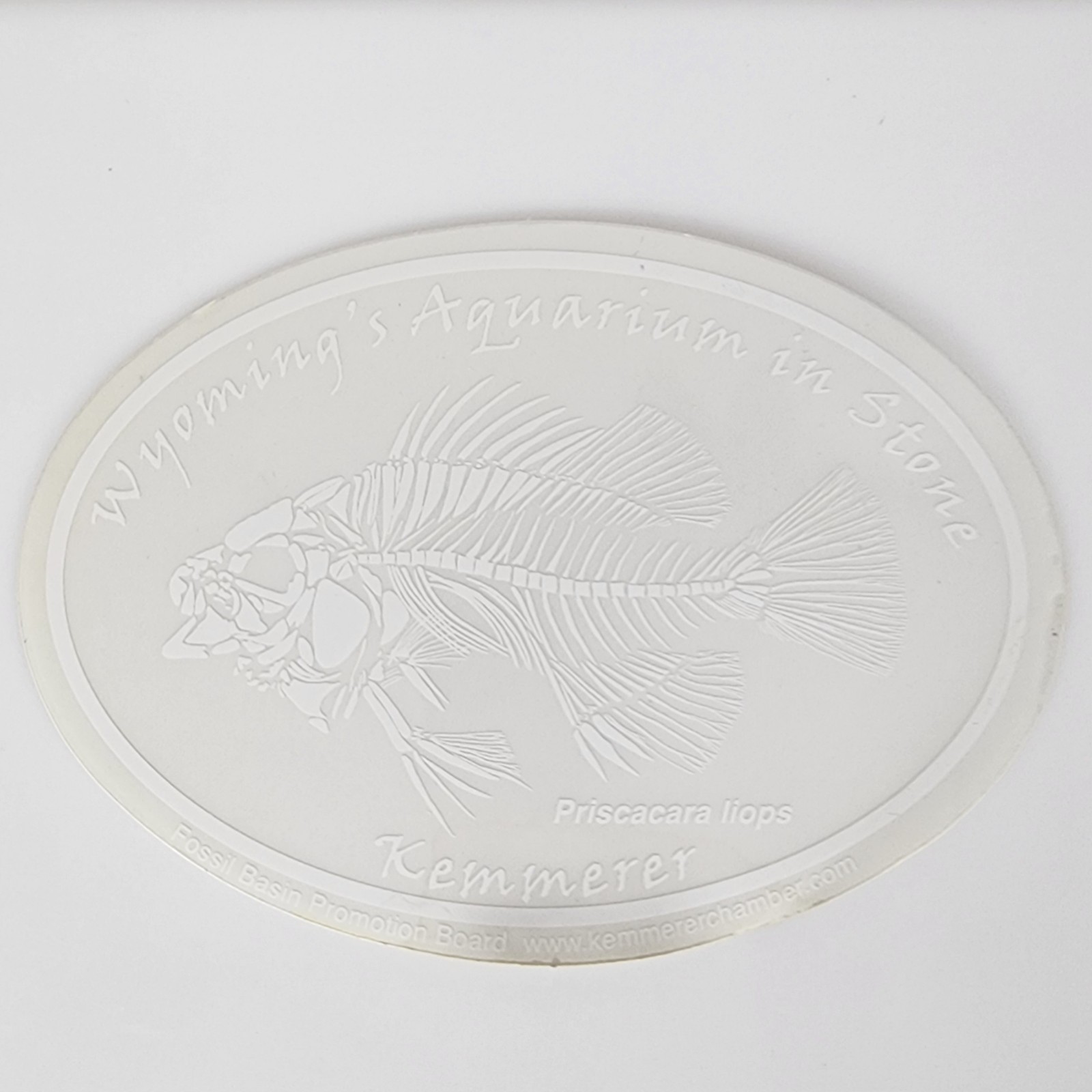 Fossil Butte National Monument WY An Aquarium in Stone Kemmerer Decals CLEAR/WHT